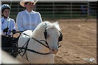 4H-Dist-09_0643.jpg