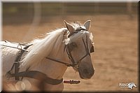 4H-Dist-09_0646.jpg