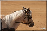 4H-Dist-09_0647.jpg