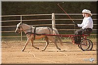 4H-Dist-09_0648.jpg