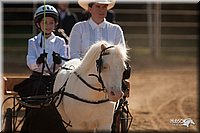 4H-Dist-09_0650.jpg