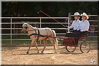 4H-Dist-09_0653.jpg