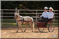 4H-Dist-09_0654.jpg