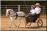 4H-Dist-09_0655.jpg