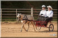 4H-Dist-09_0656.jpg
