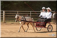 4H-Dist-09_0657.jpg
