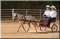 4H-Dist-09_0658.jpg