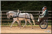 4H-Dist-09_0661.jpg