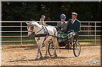 4H-Dist-09_0662.jpg