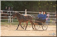 4H-Dist-09_0664.jpg