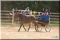 4H-Dist-09_0665.jpg