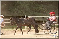 4H-Dist-09_0668.jpg