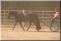 4H-Dist-09_0675.jpg