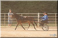 4H-Dist-09_0677.jpg
