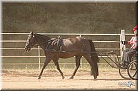4H-Dist-09_0679.jpg