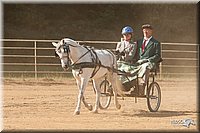 4H-Dist-09_0681.jpg