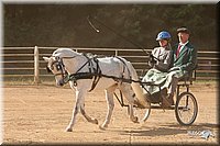4H-Dist-09_0682.jpg