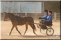 4H-Dist-09_0685.jpg