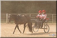 4H-Dist-09_0686.jpg
