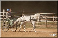 4H-Dist-09_0688.jpg