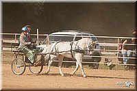 4H-Dist-09_0689.jpg
