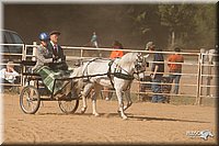 4H-Dist-09_0690.jpg