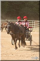 4H-Dist-09_0691.jpg