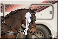 4H-Dist-09_0696.jpg