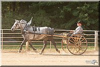 4H-Dist-09_0699.jpg