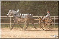 4H-Dist-09_0700.jpg
