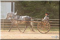 4H-Dist-09_0701.jpg
