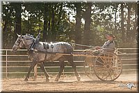 4H-Dist-09_0702.jpg