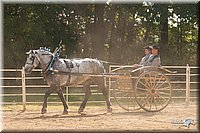 4H-Dist-09_0703.jpg