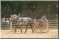 4H-Dist-09_0704.jpg