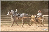 4H-Dist-09_0705.jpg
