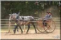 4H-Dist-09_0707.jpg