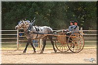 4H-Dist-09_0708.jpg
