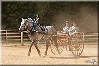 4H-Dist-09_0709.jpg