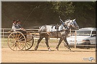 4H-Dist-09_0710.jpg