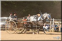 4H-Dist-09_0711.jpg