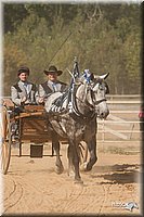 4H-Dist-09_0712.jpg