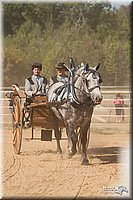 4H-Dist-09_0713.jpg