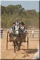 4H-Dist-09_0714.jpg
