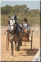 4H-Dist-09_0715.jpg