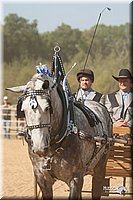 4H-Dist-09_0716.jpg