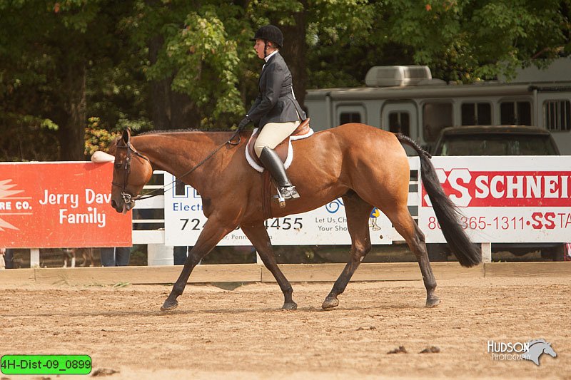 4H-Dist-09_0899.jpg