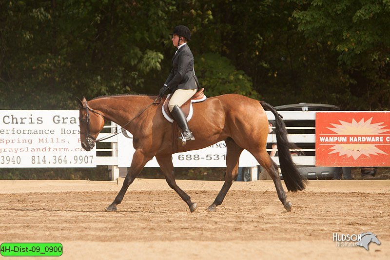 4H-Dist-09_0900.jpg