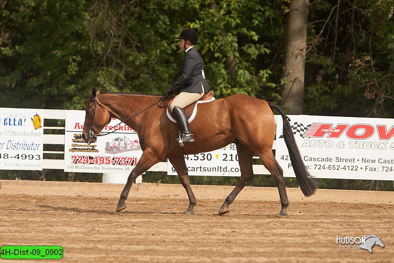 4H-Dist-09_0902.jpg