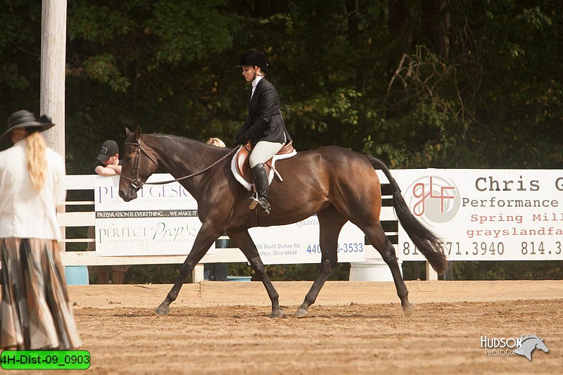 4H-Dist-09_0903.jpg