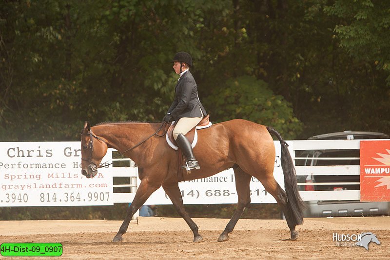 4H-Dist-09_0907.jpg